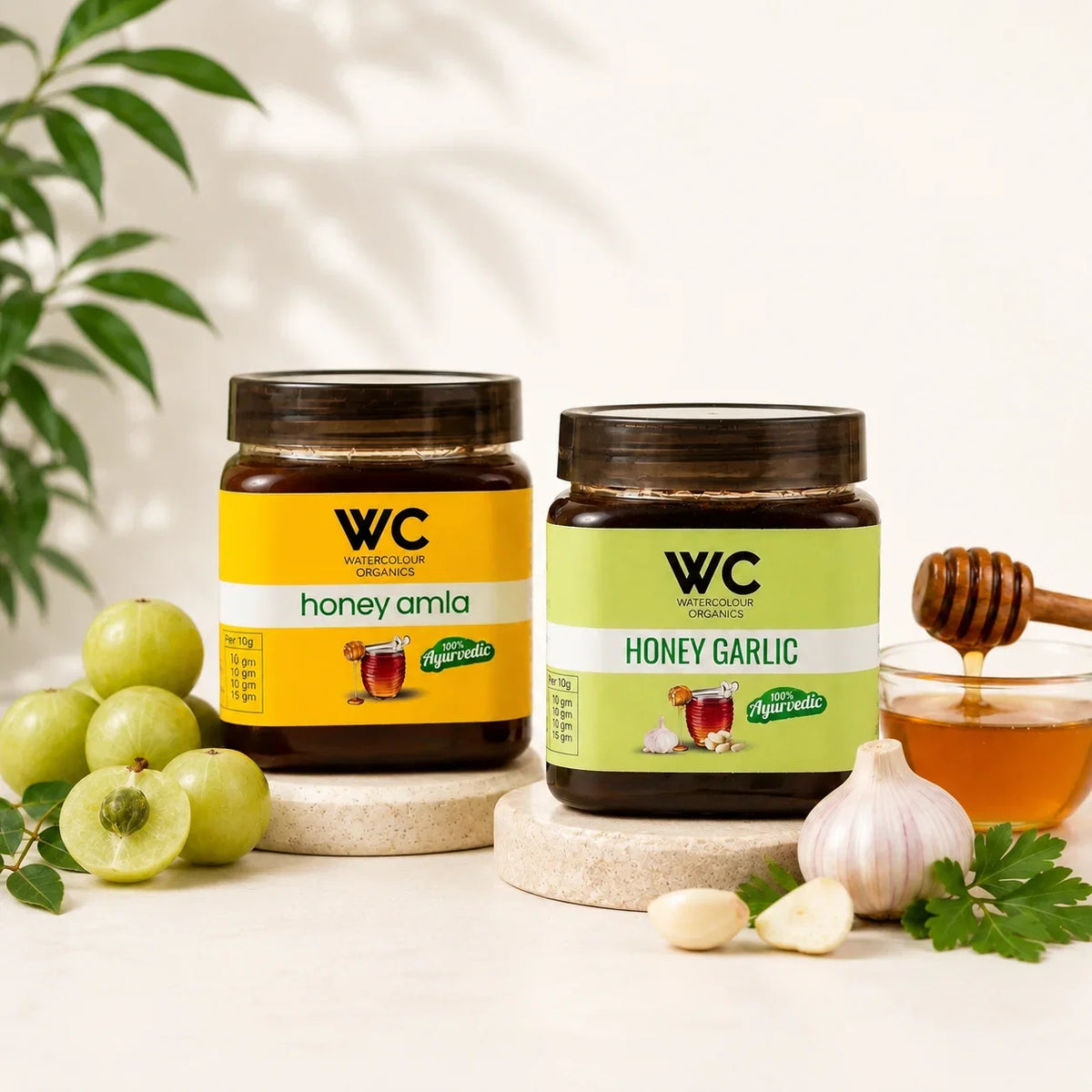 Wellness